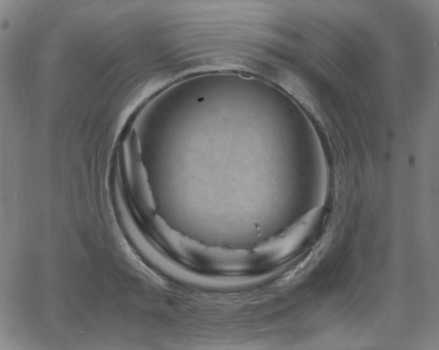 X0000063520797200601201432