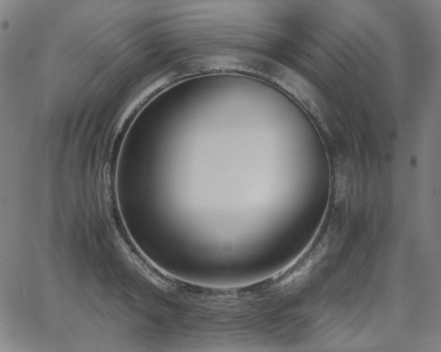 X0000063520798200601201431