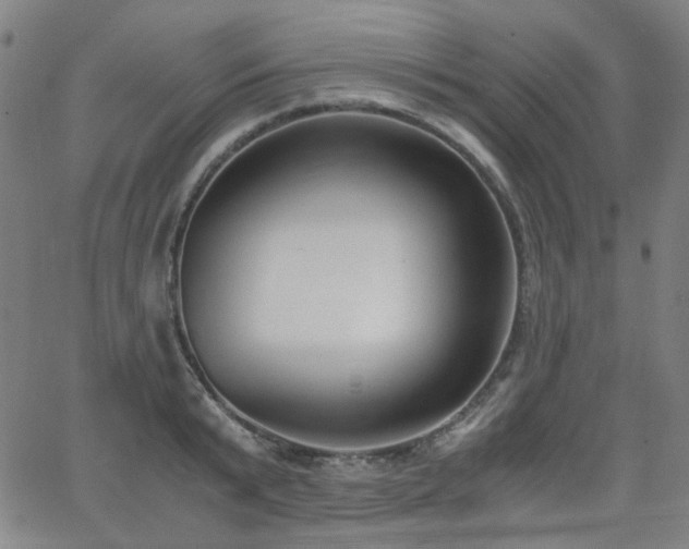 X0000063520799200601201431