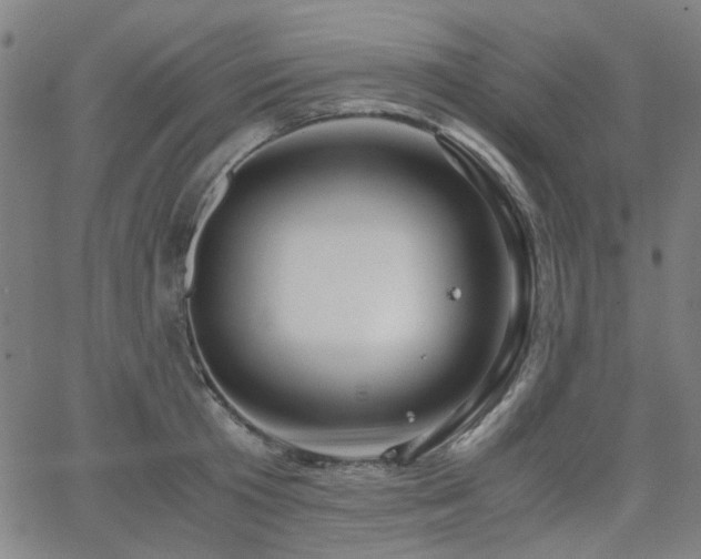 X0000063520801200601201431