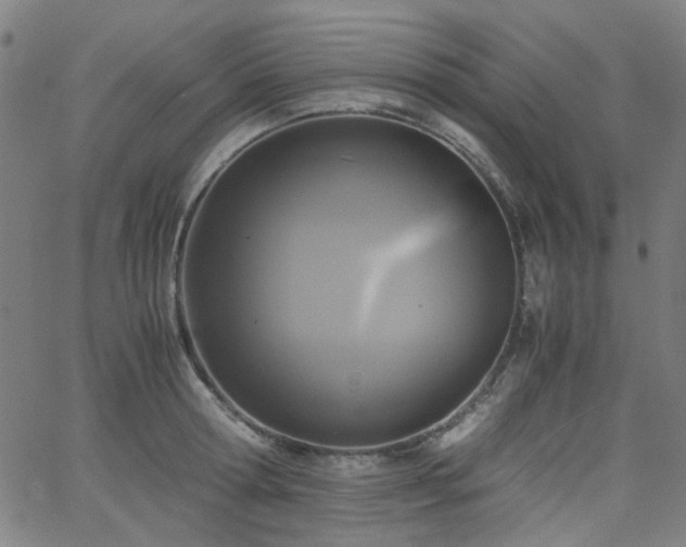 X0000063520802200601201431