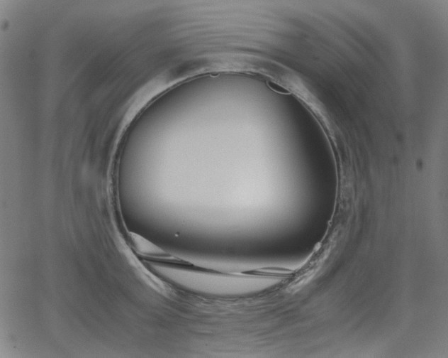 X0000063520803200601201431