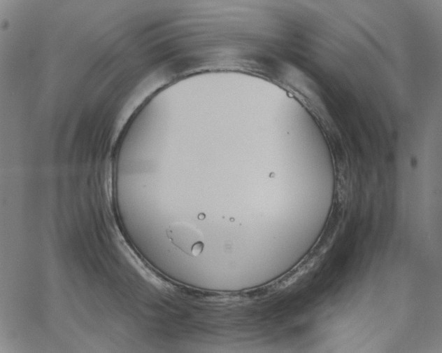 X0000063520804200601201431