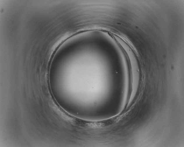 X0000063520805200601201431