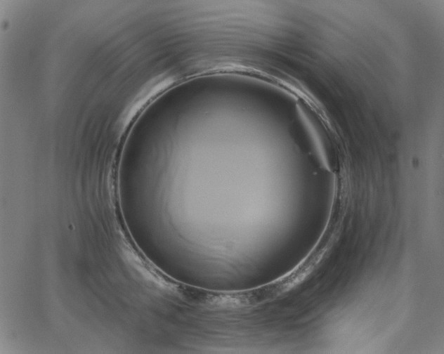 X0000063520806200601201431