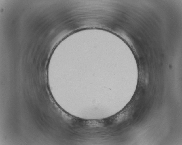 X0000063520807200601201431