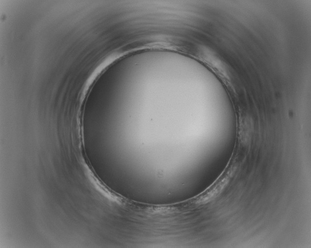 X0000063520808200601201431