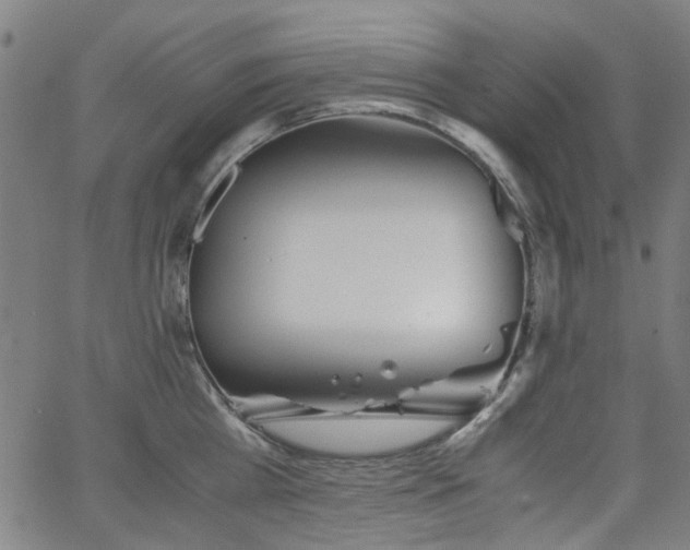 X0000063520809200601201431