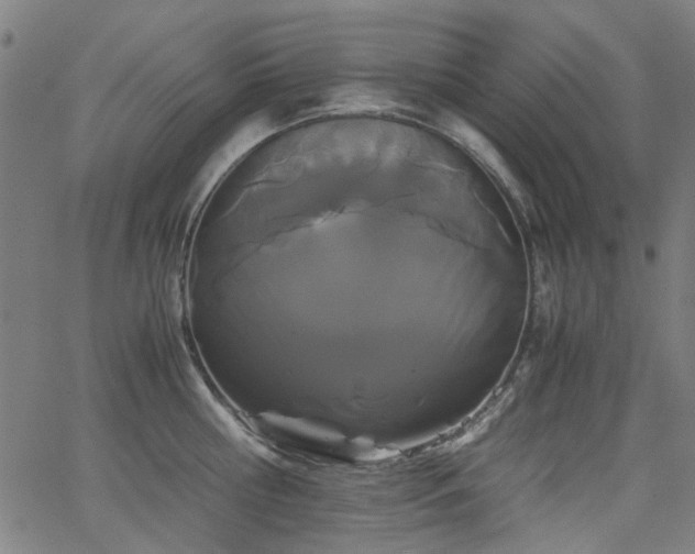 X0000063520810200601201431