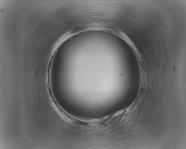 X0000063520811200601201431