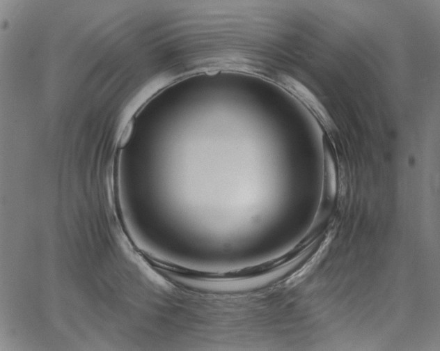 X0000063520812200601201431