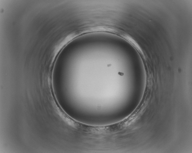 X0000063520813200601201431