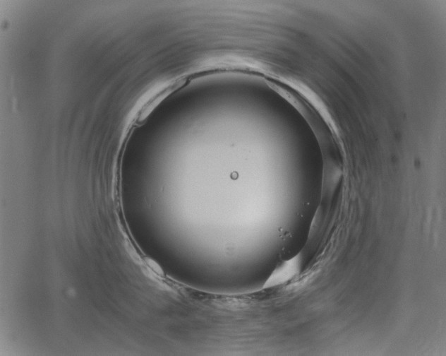 X0000063520815200601201431