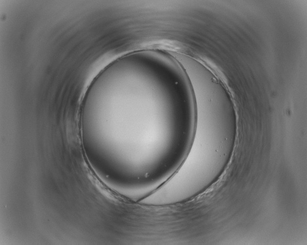 X0000063520816200601201431