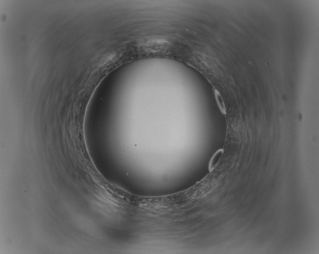 X0000063520817200601201430