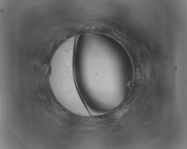 X0000063520820200601201430