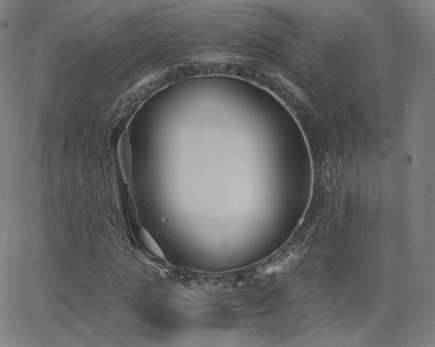 X0000063520821200601201430