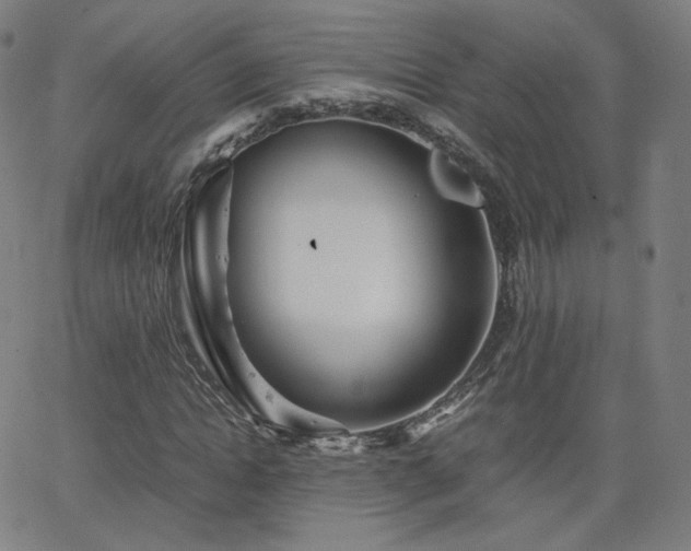 X0000063520822200601201430