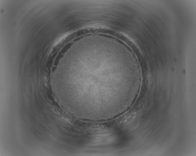 X0000063520823200601201430