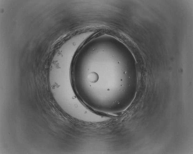 X0000063520824200601201430