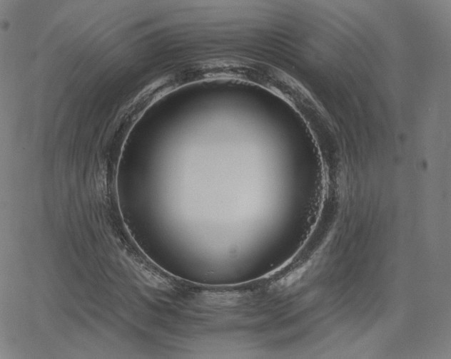 X0000063520825200601201431