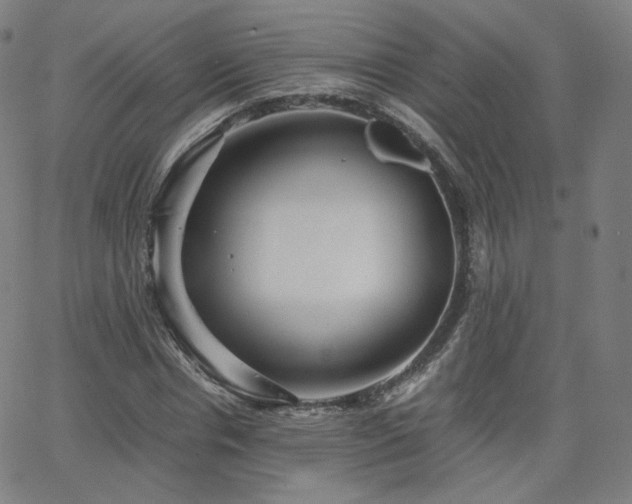 X0000063520826200601201431