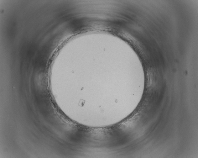 X0000063520828200601201431