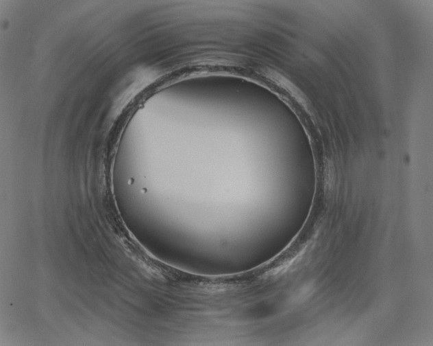 X0000063520829200601201431