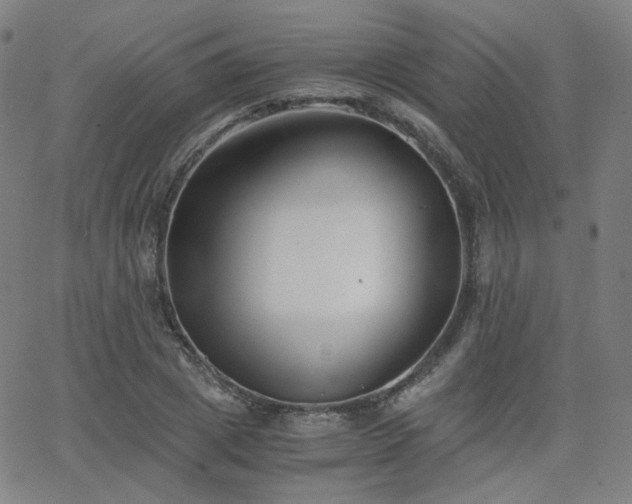 X0000063520833200601201431