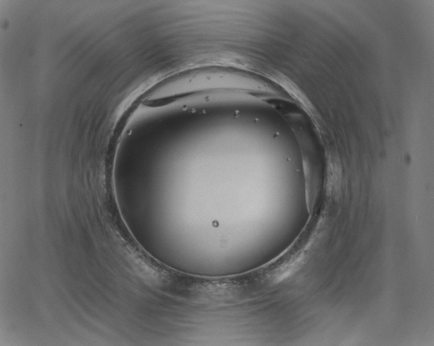 X0000063520834200601201431