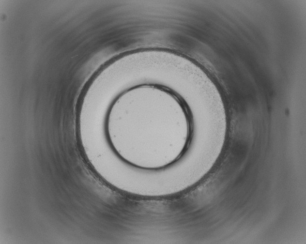 X0000063520836200601201431