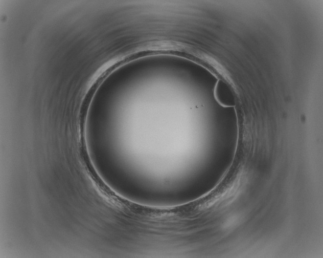 X0000063520837200601201431