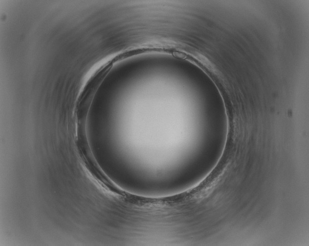 X0000063520838200601201431