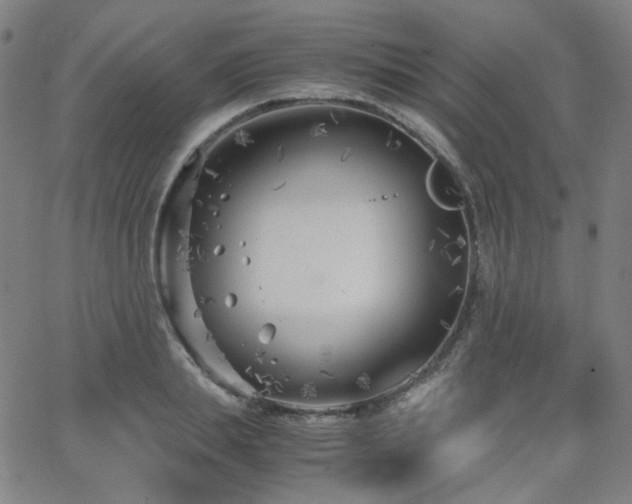 X0000063520839200601201431