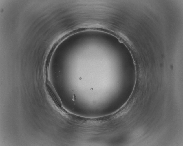 X0000063520840200601201431