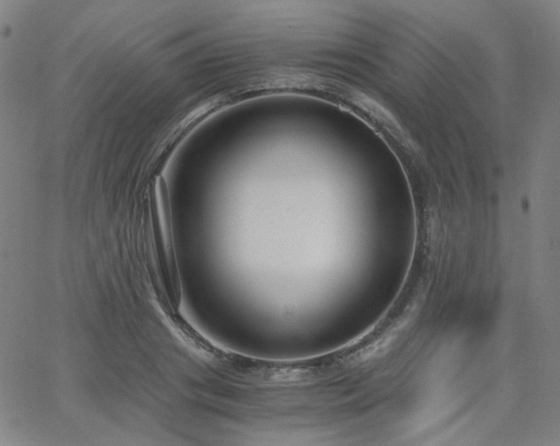 X0000063520841200601201431