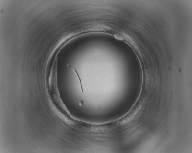 X0000063520843200601201431