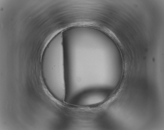 X0000063520844200601201431