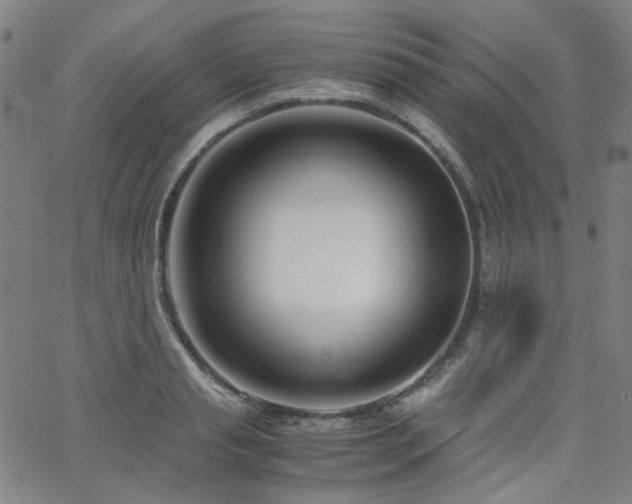 X0000063520845200601201431