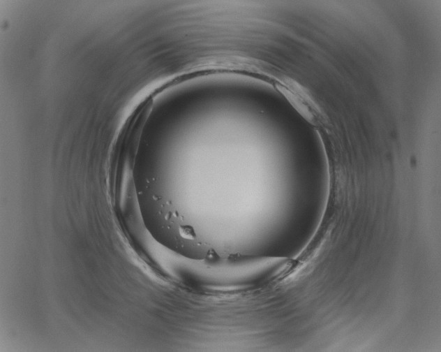 X0000063520846200601201431