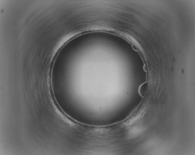 X0000063520847200601201431