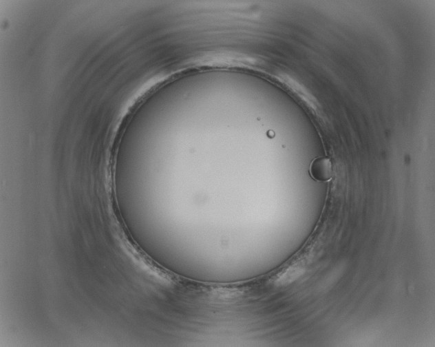 X0000063520848200601201431