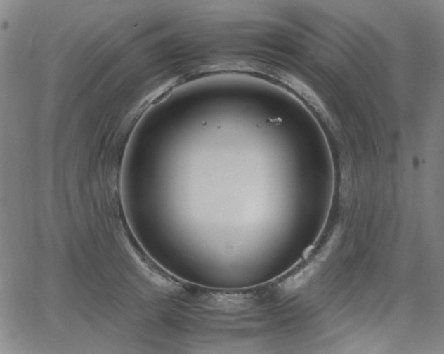 X0000063520849200601201431