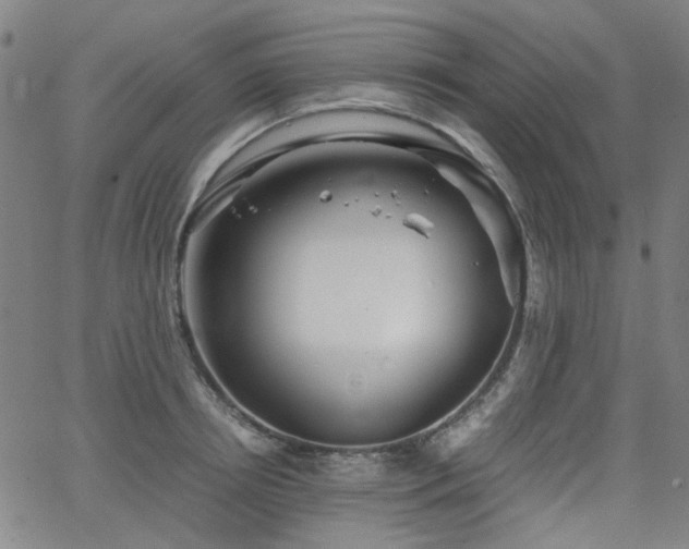 X0000063520850200601201431