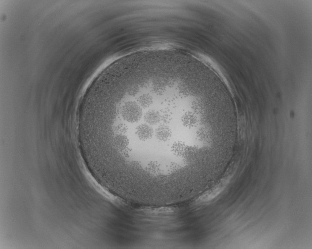 X0000063520851200601201431