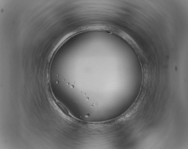 X0000063520852200601201431