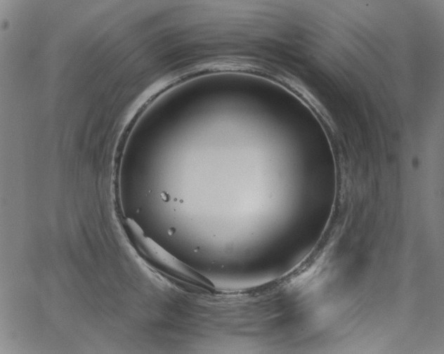 X0000063520853200601201431