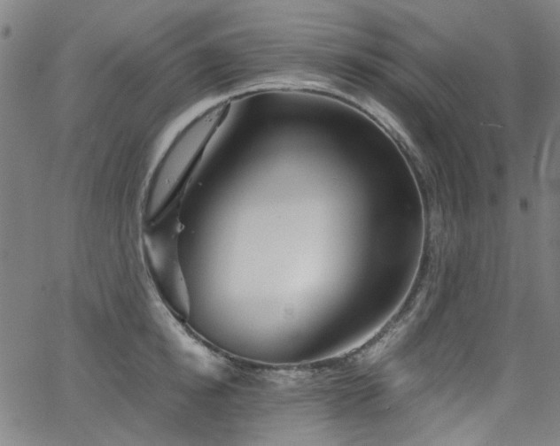 X0000063520854200601201431