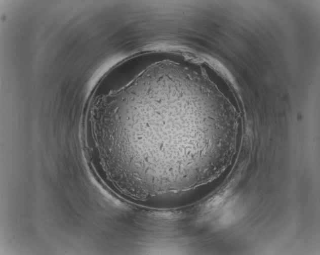 X0000063520855200601201431