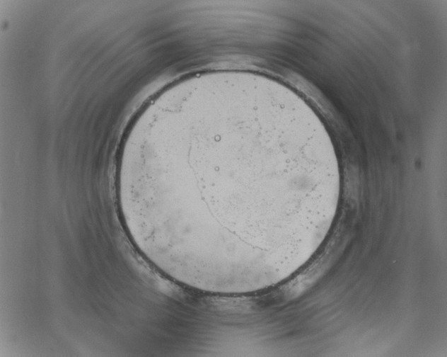 X0000063520856200601201431